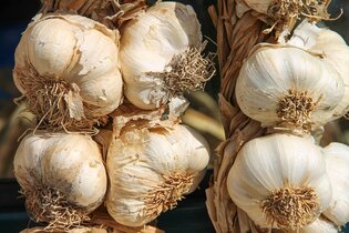 Kräuter und Gewürzkunde für die Küche
