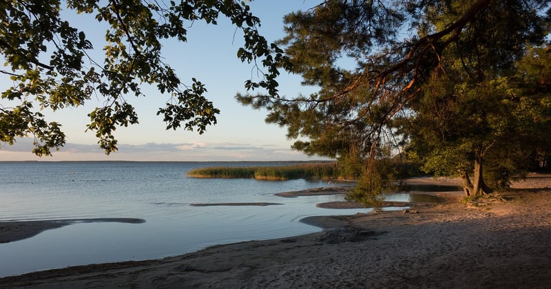Waren Müritz Sehenswürdigkeiten: Die schönsten Highlights der Stadt