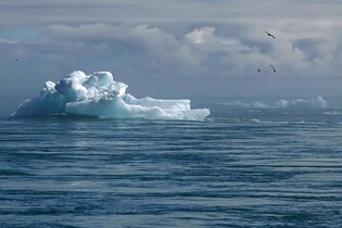 Warum versagen internationale Klimaabkommen regelmäßig?