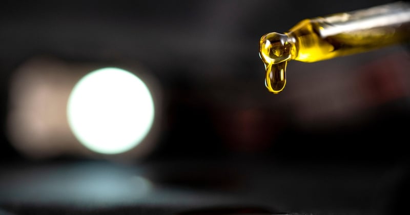 Entourage Effekt verstehen: So verstärken Cannabinoide ihre Wirkung
