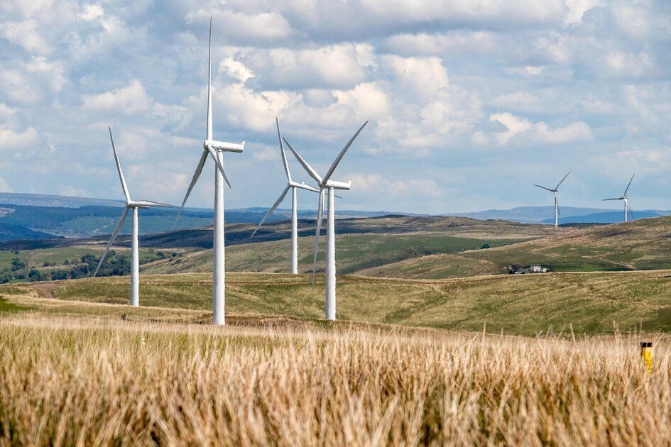 Warum sollten Sie jetzt in erneuerbare Energien investieren?