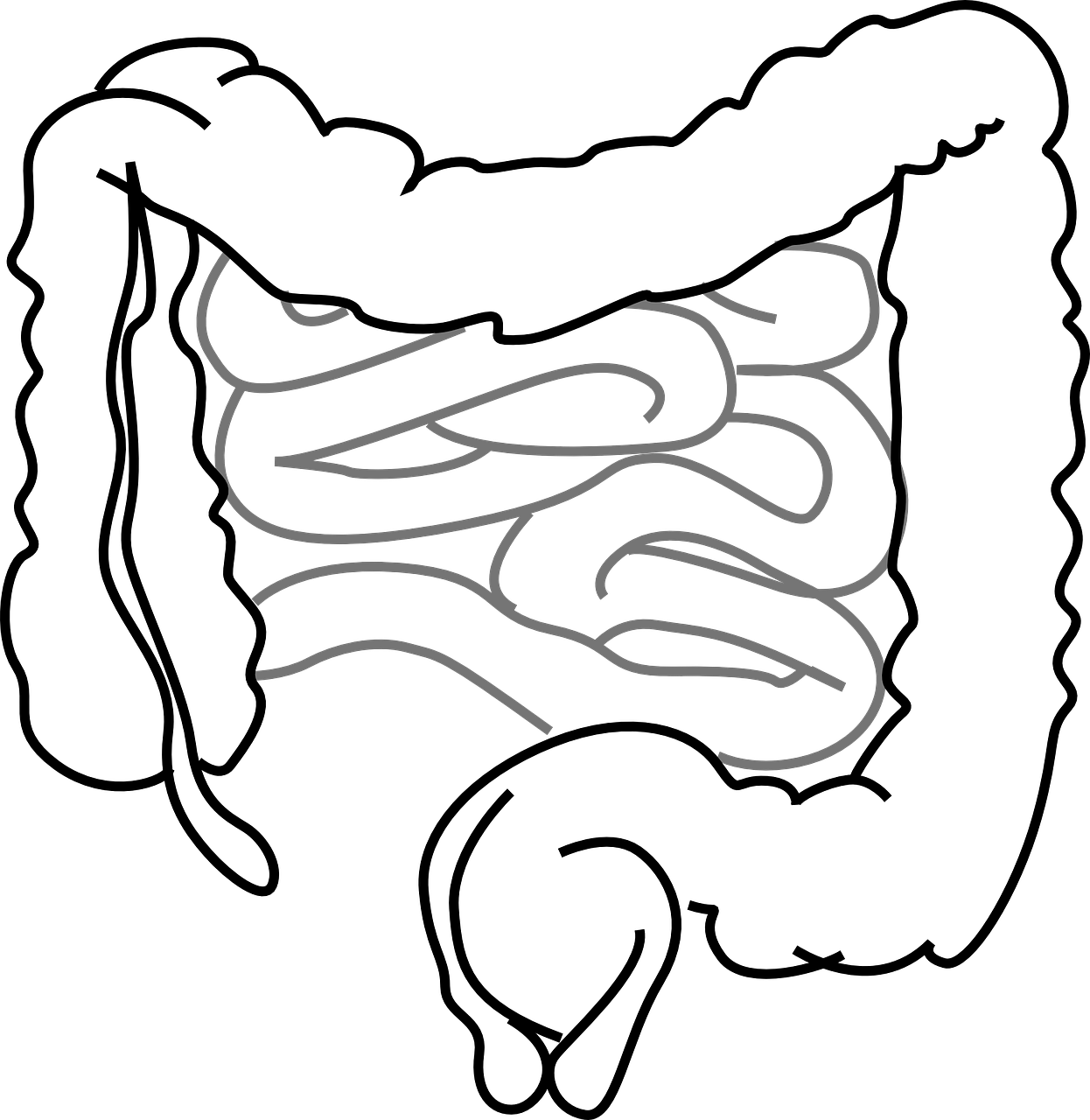 entdecken sie die besten tipps und ratschläge für ein besseres leben mit dem begriff 'gut'. erfahren sie, wie sie ihre lebensqualität steigern können und was es bedeutet, in unterschiedlichen aspekten des lebens gut zu sein.