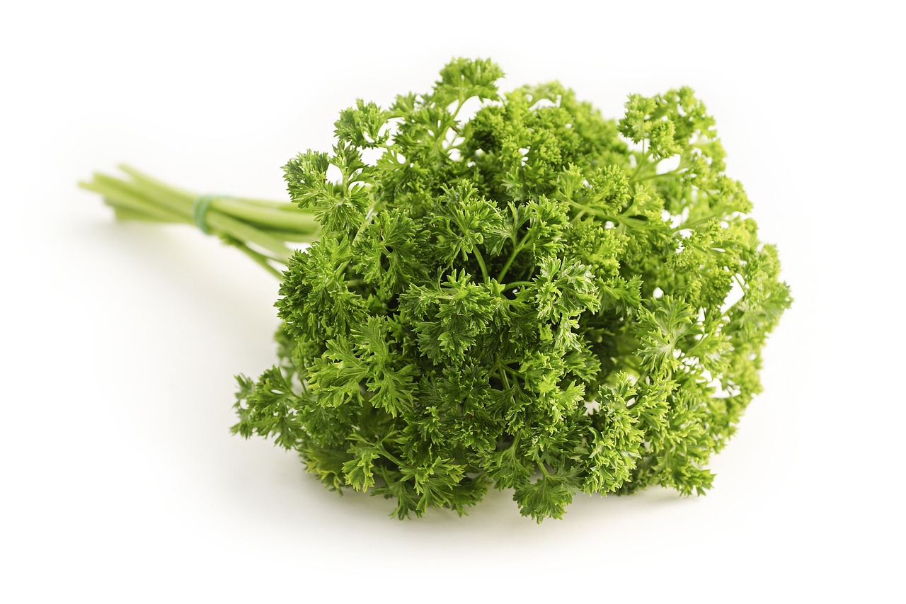 entdecken sie die welt der gewürze! von aromatischen kräutern bis zu würzigen mischungen, lernen sie, wie sie ihre gerichte mit unseren hochwertigen gewürzen verfeinern können. ideal für jeden kochliebhaber, der frische aromen in seine küche bringen möchte.